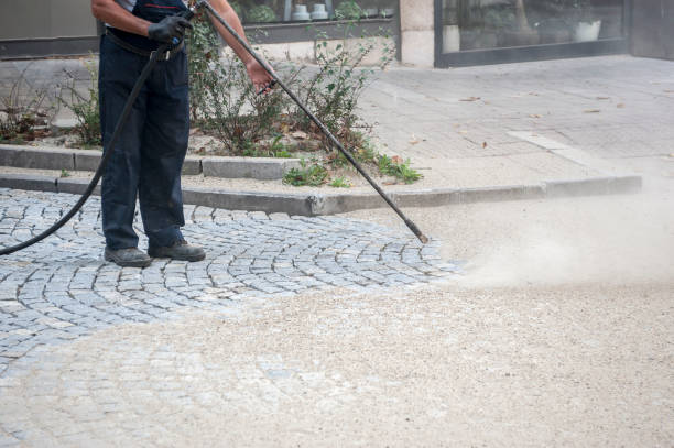 Animal Enclosure Cleaning in Palm Beach, FL